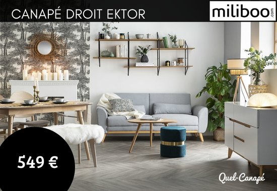 Test et avis du canapé Ektor Miliboo